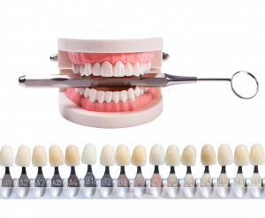 Optimum Dental Protetik Diş Hekimi Aydın
